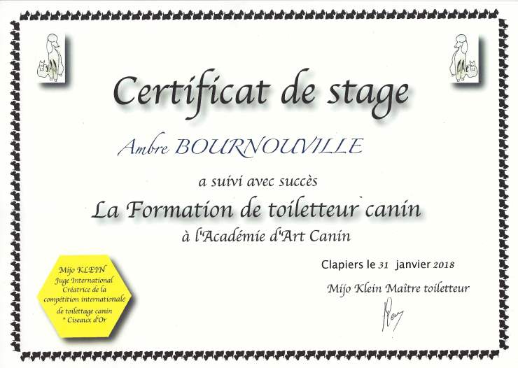 Certificat de stage