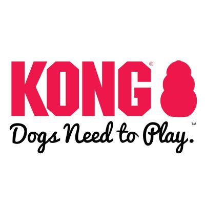logo-kong